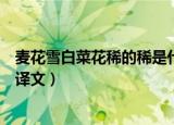 麦花雪白菜花稀的稀是什么意思（麦花雪白菜花稀的原文及译文）