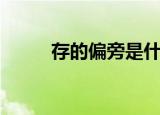 存的偏旁是什么（关于存的偏旁）