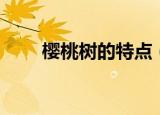 樱桃树的特点（樱桃树有什么特点）