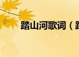 踏山河歌词（踏山河的歌词是什么）