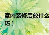 室内装修后放什么去味（室内装修后去味的技巧）