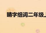 睛字组词二年级上册（汉字睛怎么组词）