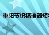 重阳节祝福语简短8字（盘点重阳节祝福语）