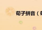 荀子拼音（荀子的拼音是什么）