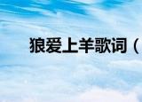 狼爱上羊歌词（狼爱上羊歌词是什么）