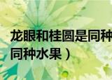 龙眼和桂圆是同种水果吗（龙眼和桂圆是不是同种水果）
