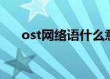 ost网络语什么意思（解释网络语ost）