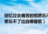回忆过去痛苦的相思忘不了什么歌（歌词回忆过去痛苦的相思忘不了出自哪首歌）