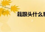 栽跟头什么意思（栽跟头解释）