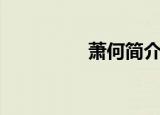 萧何简介（萧何的简介）