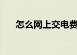 怎么网上交电费（网上交电费的方法）