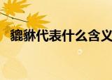 貔貅代表什么含义（貔貅有什么象征意义）