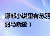哪部小说里有苏羽马晓璐（哪部小说里面有苏羽马晓璐）