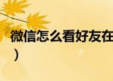 微信怎么看好友在不在线（大家一起来了解吧）