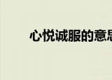 心悦诚服的意思（心悦诚服的解释）