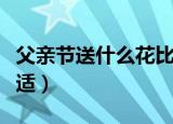 父亲节送什么花比较好（父亲节送什么花最合适）