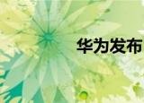  华为发布HMS 5.0改进版