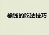 榆钱的吃法技巧（榆钱的吃法技巧介绍）