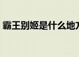 霸王别姬是什么地方菜（霸王别姬什么菜系）