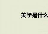 美学是什么（美学专业解释）