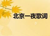 北京一夜歌词（北京一夜歌词介绍）
