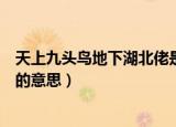天上九头鸟地下湖北佬是什么意思（天上九头鸟地下湖北佬的意思）