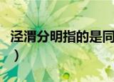 泾渭分明指的是同一条河吗（它们分别是什么）