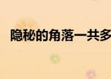 隐秘的角落一共多少集（隐秘的角落集数）