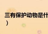 三有保护动物是什么意思（三有保护动物介绍）