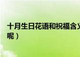 十月生日花语和祝福含义（十月生日花语和祝福含义是什么呢）