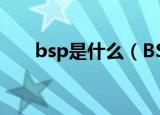 bsp是什么（BSP的主要功能是什么）
