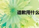 道歉用什么花（道歉送的花）