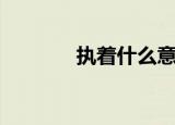 执着什么意思（执着的意思）