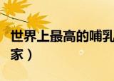 世界上最高的哺乳动物是（希望能够帮助到大家）