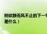 树欲静而风不止的下一句是什么（树欲静而风不止的后一句是什么）