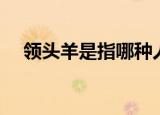 领头羊是指哪种人（领头羊指哪一类人）