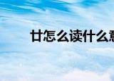 廿怎么读什么意思（廿是什么意思）