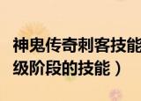 神鬼传奇刺客技能加点（神鬼传奇刺客不同等级阶段的技能）