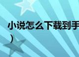 小说怎么下载到手机（怎样下载小说到手机中）