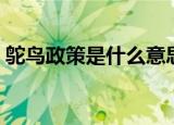 鸵鸟政策是什么意思（鸵鸟政策有什么含义）