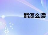 羁怎么读（汉字羁怎么读）
