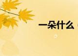 一朵什么（一朵什么填空）