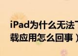 iPad为什么无法下载应用程序（iPad没法下载应用怎么回事）