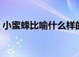 小蜜蜂比喻什么样的人（小蜜蜂形容什么人）
