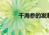 干海参的发制（干海参怎么发）