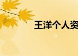 王洋个人资料（王洋的简介）