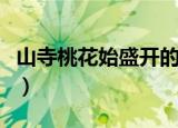 山寺桃花始盛开的上一句是什么（出自哪里呢）