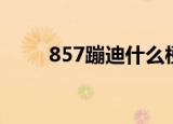 857蹦迪什么梗（857蹦迪的意思）