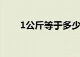 1公斤等于多少斤（1公斤是多少斤）