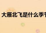 大雁北飞是什么季节（大雁什么季节会北飞）